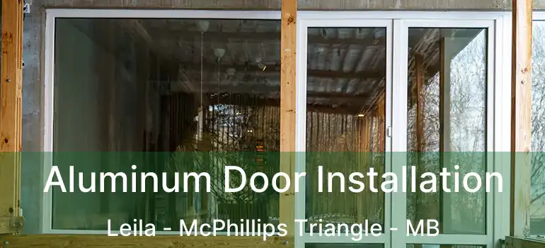  Aluminum Door Installation Leila - McPhillips Triangle - MB