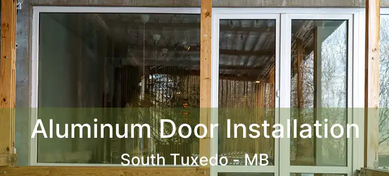  Aluminum Door Installation South Tuxedo - MB