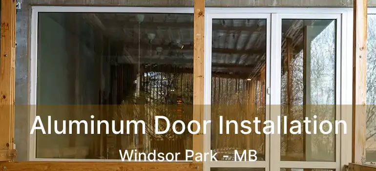  Aluminum Door Installation Windsor Park - MB