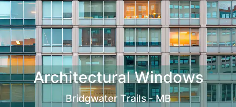  Architectural Windows Bridgwater Trails - MB
