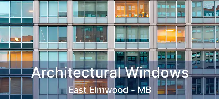  Architectural Windows East Elmwood - MB