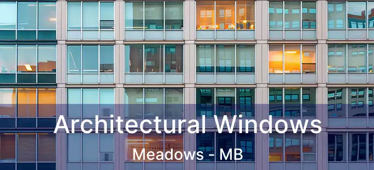  Architectural Windows Meadows - MB