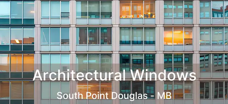  Architectural Windows South Point Douglas - MB