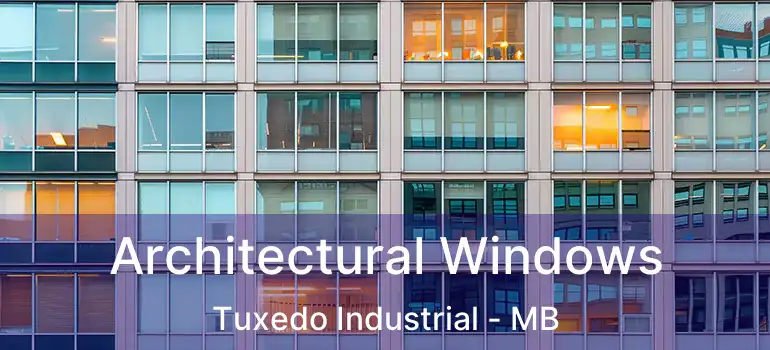  Architectural Windows Tuxedo Industrial - MB