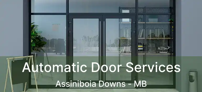  Automatic Door Services Assiniboia Downs - MB
