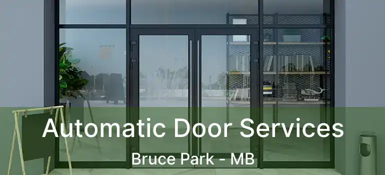  Automatic Door Services Bruce Park - MB