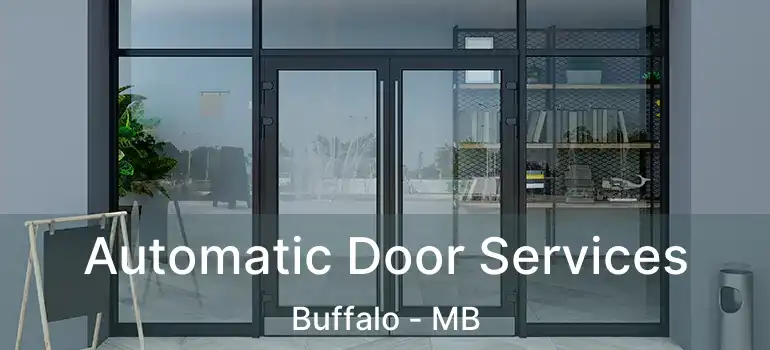  Automatic Door Services Buffalo - MB