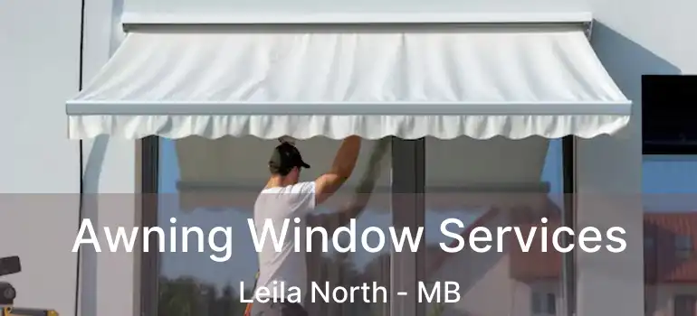  Awning Window Services Leila North - MB