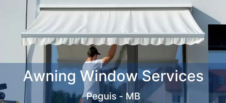  Awning Window Services Peguis - MB