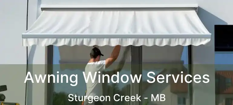  Awning Window Services Sturgeon Creek - MB