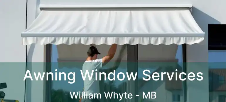  Awning Window Services William Whyte - MB