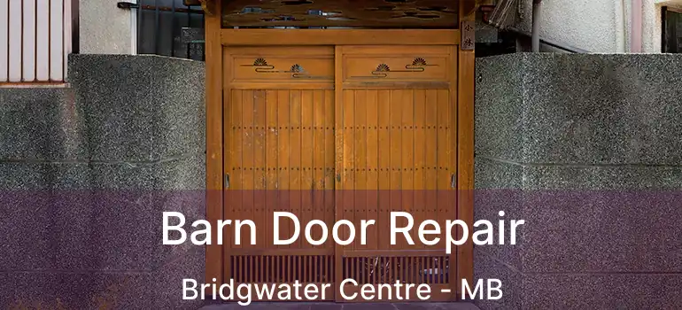  Barn Door Repair Bridgwater Centre - MB