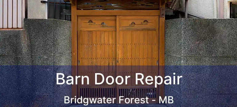  Barn Door Repair Bridgwater Forest - MB