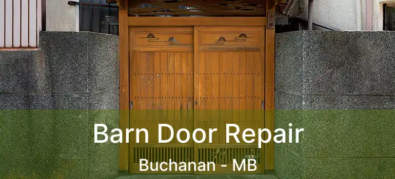  Barn Door Repair Buchanan - MB