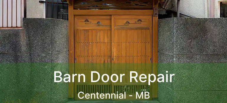  Barn Door Repair Centennial - MB