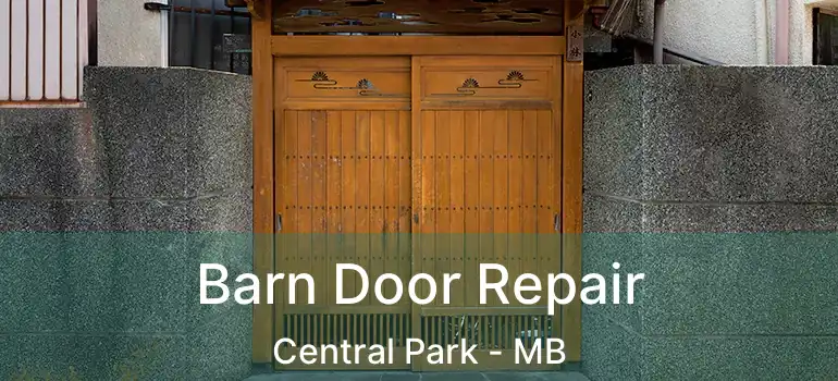  Barn Door Repair Central Park - MB