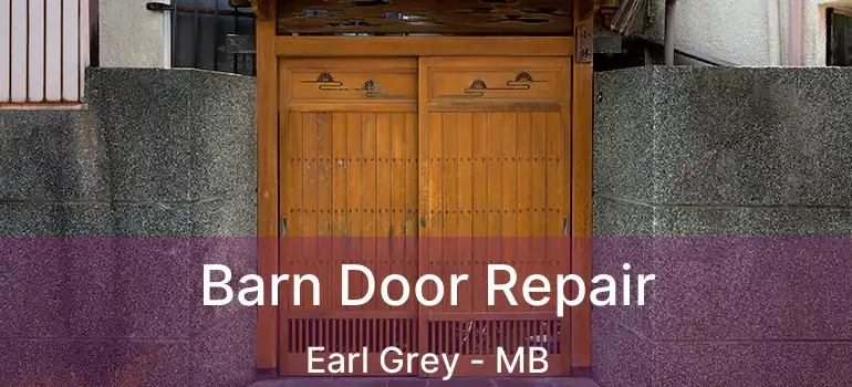  Barn Door Repair Earl Grey - MB