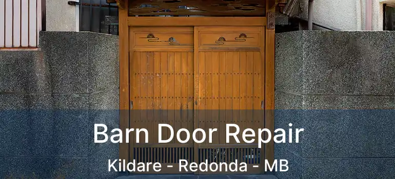  Barn Door Repair Kildare - Redonda - MB
