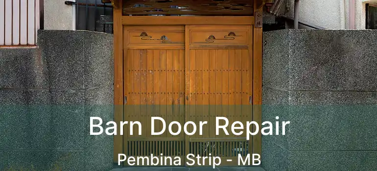  Barn Door Repair Pembina Strip - MB