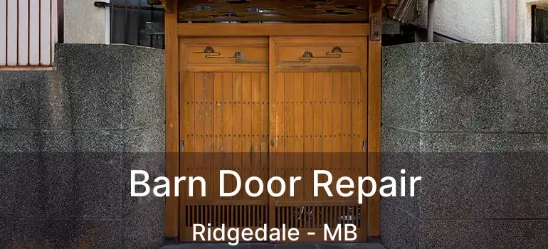  Barn Door Repair Ridgedale - MB