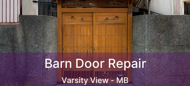  Barn Door Repair Varsity View - MB