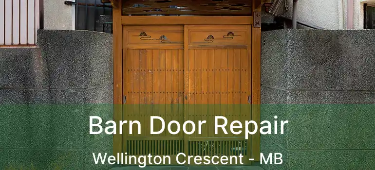  Barn Door Repair Wellington Crescent - MB
