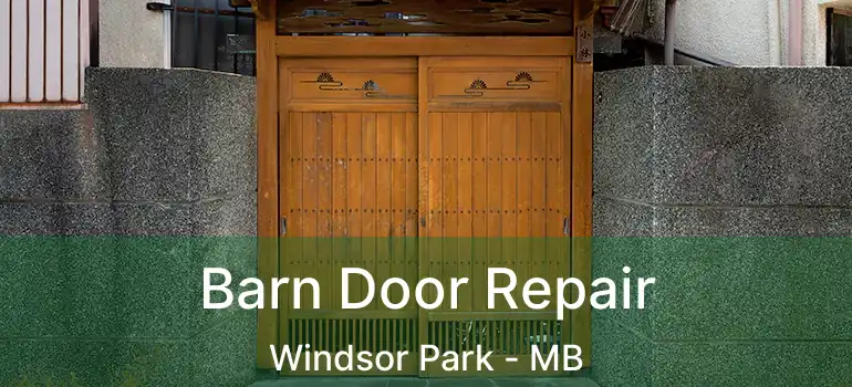  Barn Door Repair Windsor Park - MB