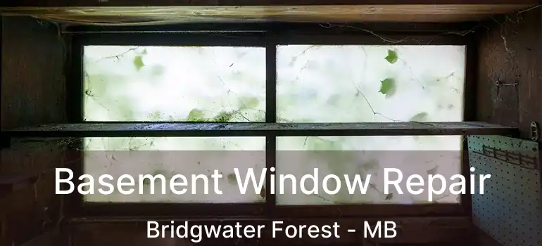  Basement Window Repair Bridgwater Forest - MB