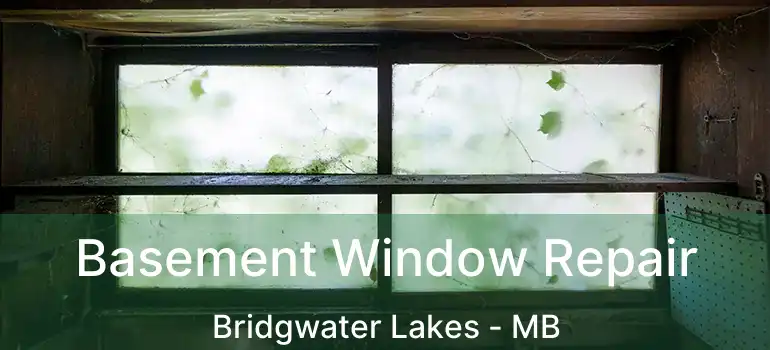  Basement Window Repair Bridgwater Lakes - MB