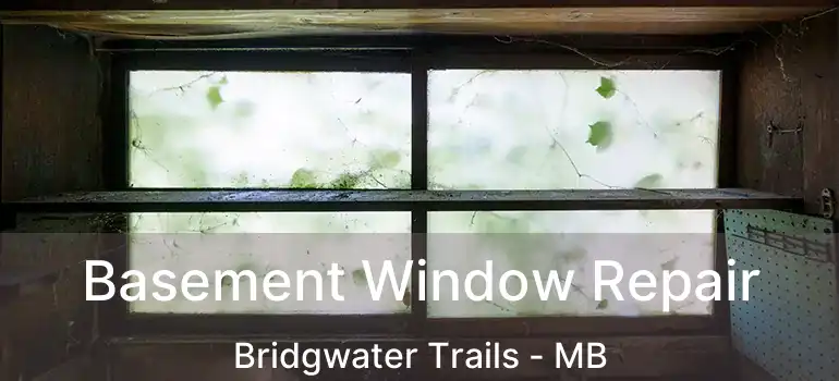  Basement Window Repair Bridgwater Trails - MB