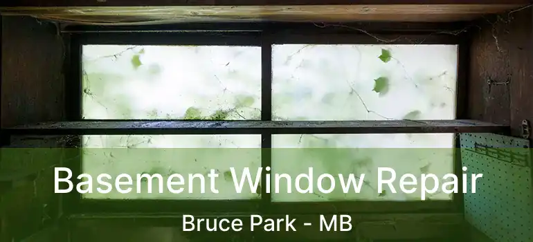  Basement Window Repair Bruce Park - MB