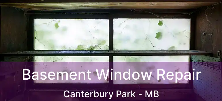  Basement Window Repair Canterbury Park - MB