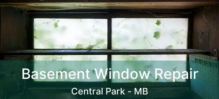  Basement Window Repair Central Park - MB