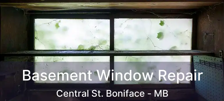  Basement Window Repair Central St. Boniface - MB