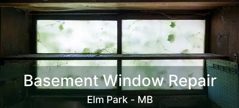  Basement Window Repair Elm Park - MB
