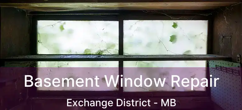  Basement Window Repair Exchange District - MB