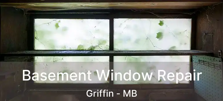  Basement Window Repair Griffin - MB