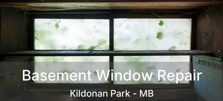  Basement Window Repair Kildonan Park - MB