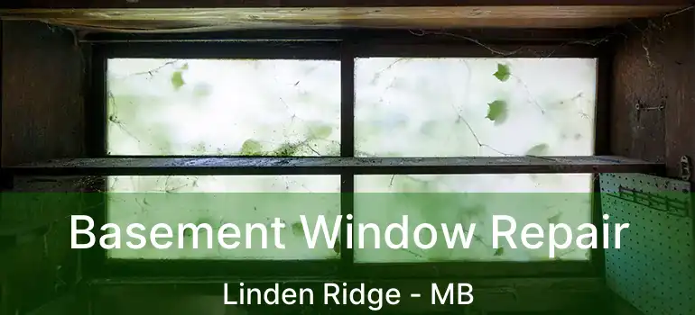  Basement Window Repair Linden Ridge - MB