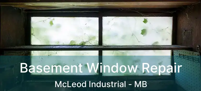  Basement Window Repair McLeod Industrial - MB