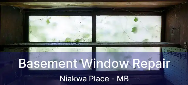 Basement Window Repair Niakwa Place - MB