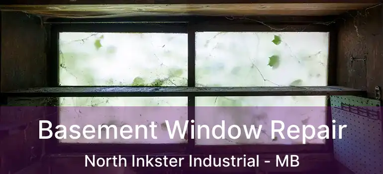  Basement Window Repair North Inkster Industrial - MB