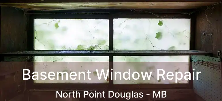  Basement Window Repair North Point Douglas - MB