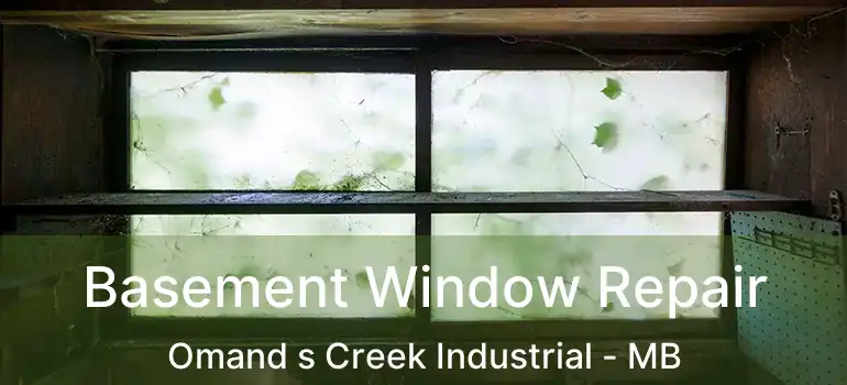  Basement Window Repair Omand s Creek Industrial - MB