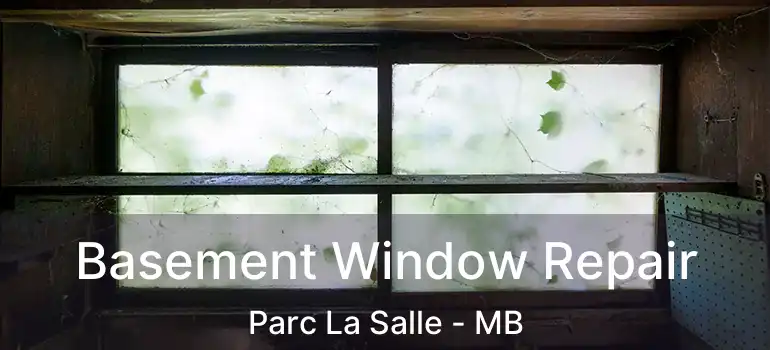  Basement Window Repair Parc La Salle - MB