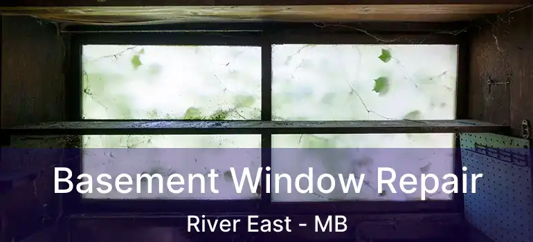  Basement Window Repair River East - MB