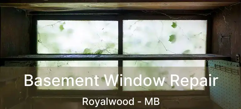  Basement Window Repair Royalwood - MB