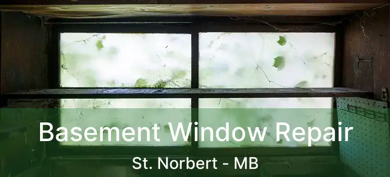  Basement Window Repair St. Norbert - MB