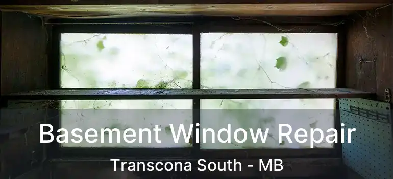  Basement Window Repair Transcona South - MB