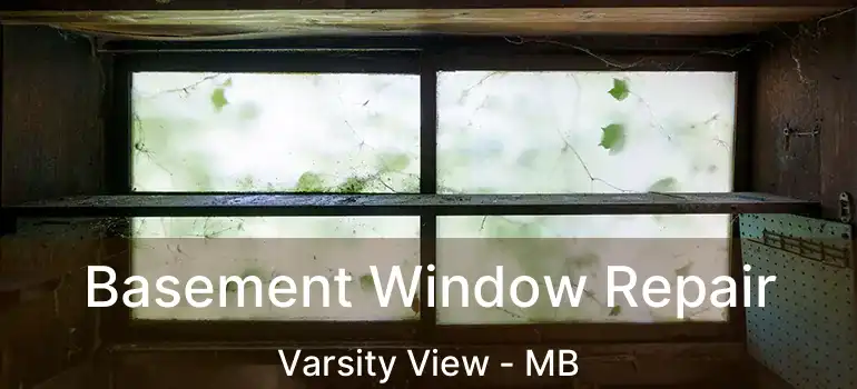  Basement Window Repair Varsity View - MB